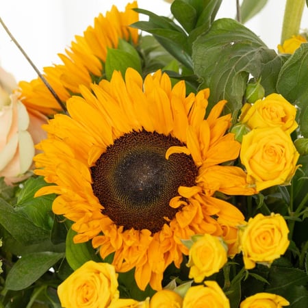 فازة لمسة فراشة ذهبية