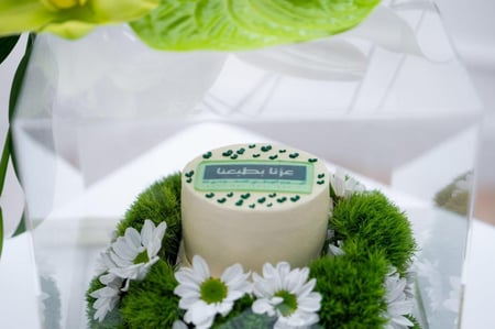 ورد اوركيد توليب بيبي روز جوري متجر ورد توصيل ورد فازة باقة flower