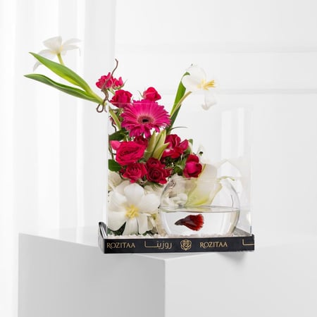 بوكس كرة السحر الأبيض