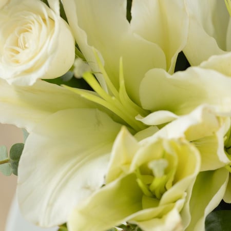 فازة السلام