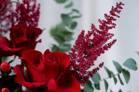 ورد استلبي جوري احمر بيبي روز جوري متجر ورد توصيل ورد فازة عيد الحب