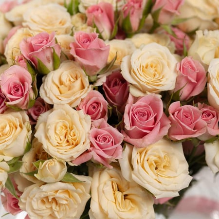 فازة كرة الغمام