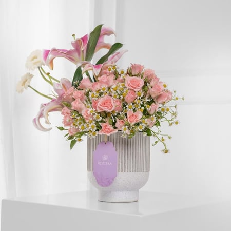 فازة سكر بنات