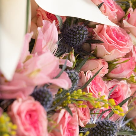 باقة ورد جوري وردي مع شكولاتة هانوفريان