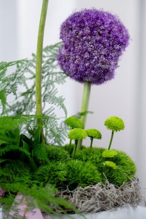 ورد اوركيد توليب بيبي روز جوري متجر ورد توصيل ورد روزيتا طبيعي flower