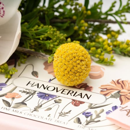 ترافل الشوكولاتة من هانوفيرين مع زهرة الأوركيد