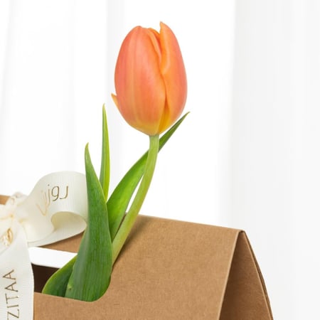 بوكس قهوة وتوليب