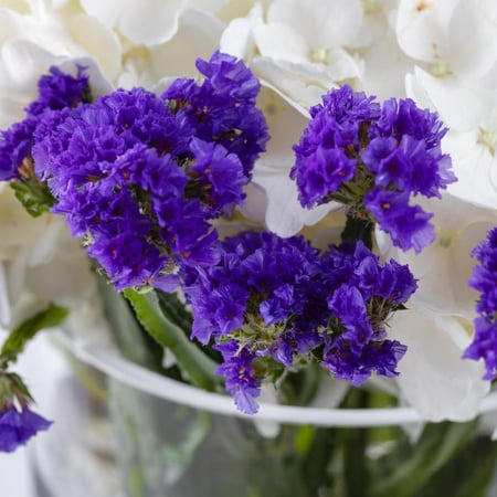 مزهرية انفاس الفجر الاولى