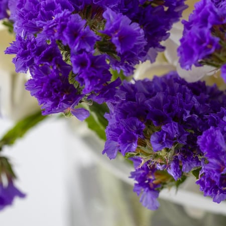 مزهرية انفاس الفجر الاولى