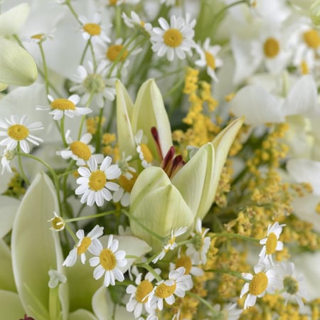 باقة ورد ابيض