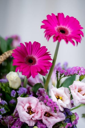 ورد اوركيد توليب بيبي روز جوري متجر ورد توصيل ورد روزيتا طبيعي flower