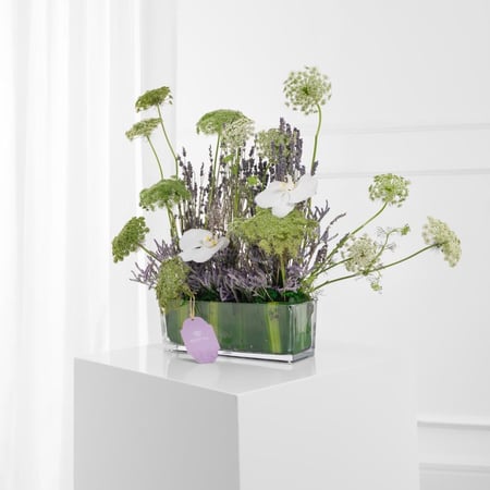 فازة همس الخزامى