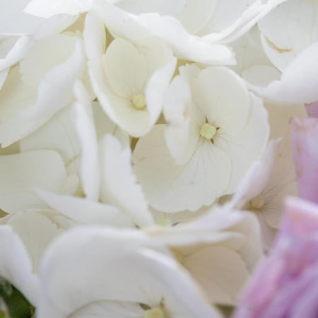 مزهرية انفاس الفجر الاولى