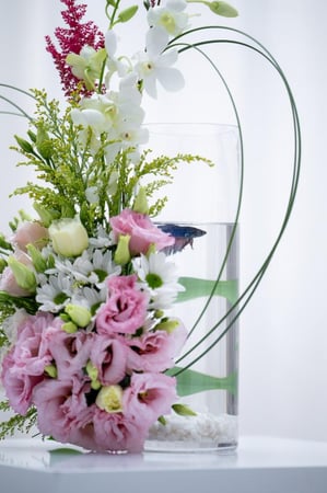 ورد اوركيد توليب بيبي روز جوري متجر ورد توصيل ورد روزيتا طبيعي flower