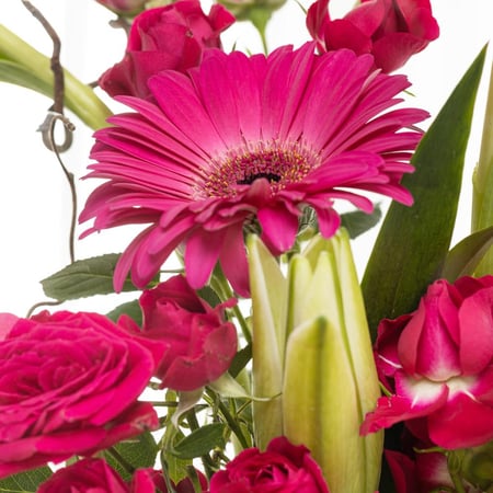 بوكس كرة السحر الأبيض