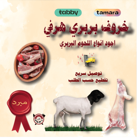 خروف بربري 10 كيلو
