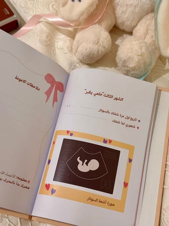 مفكرة الامومة