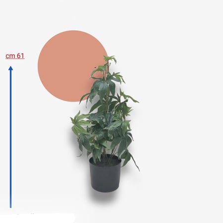 شجرة صناعية 61 سم AW11052