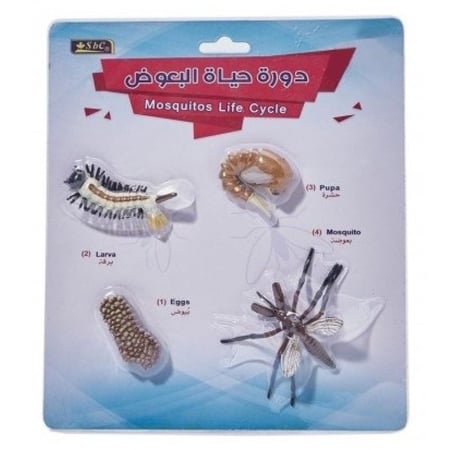 مجسم دورة حياة البعوض sbc 8760-003