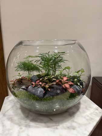 غابة مكس حجم كبير XL