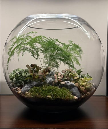 غابة نبتة و وردة حجم  كبيرXXL