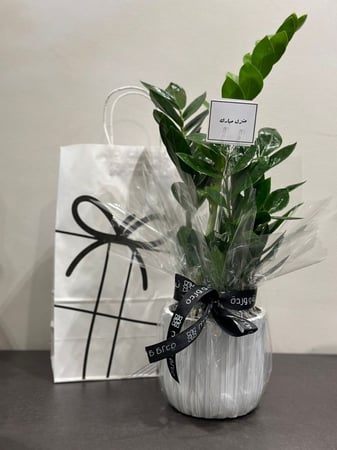 تغليف النبتة هدية + كرت