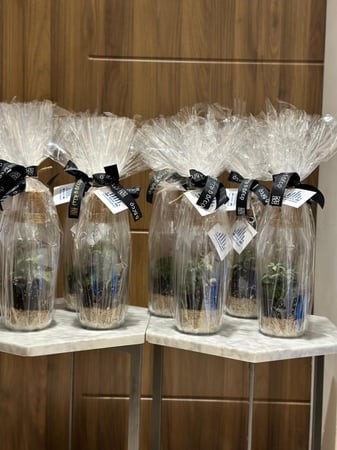 تغليف النبتة هدية + كرت