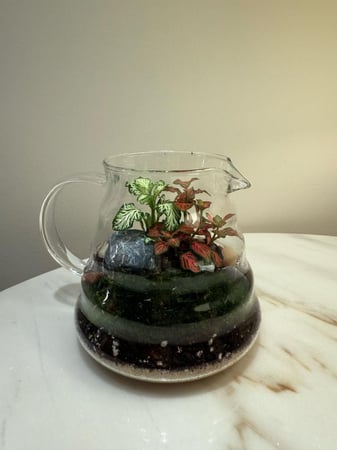 غابة إبريق القهوة V60