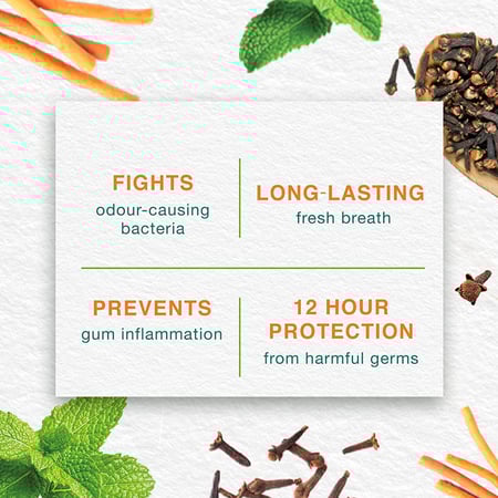 معجون اسنان بالنعناع المنعش من هيمالايا 100 مل