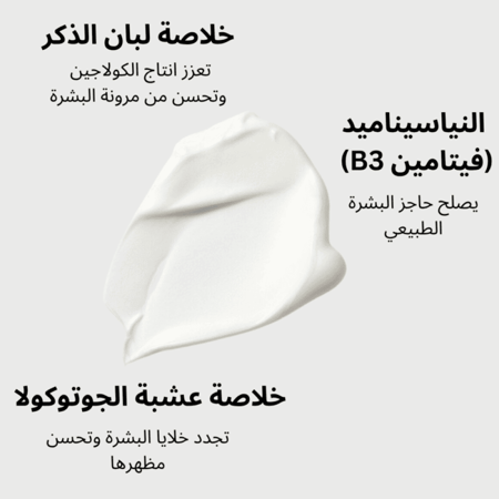 كريم الإصلاح المسائي - من LOVENIAR تركيبة