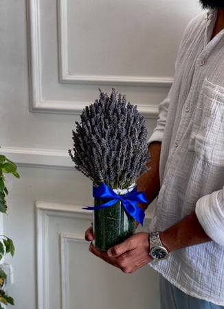 فازه اللافندر