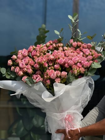 جامبو بيبي جوري