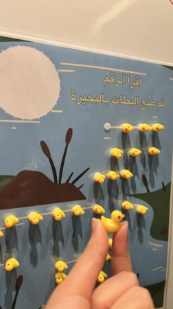 العدد ومدلولة