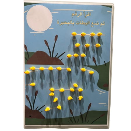 العدد ومدلولة