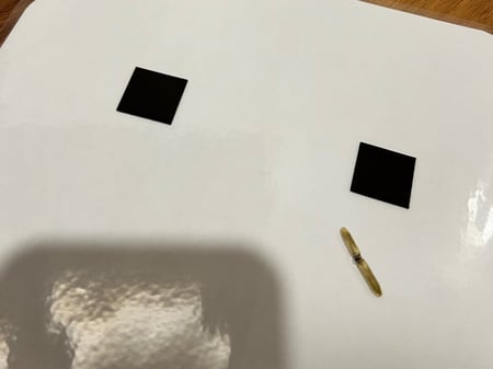 فترات الروضة بشكل مميز