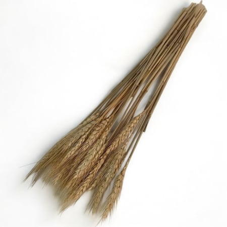 سنبلة لتزين التوزيعات  36 حبة