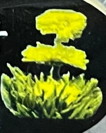 شاي كرات الورد ( الاشكال غير محدد ) | Flower ball (different)