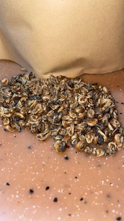 الابر الذهبية (100غ) مستدير | Ebar thahabiya (100g) curled