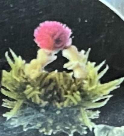 شاي كرات الورد ( الاشكال غير محدد ) | Flower ball (different)