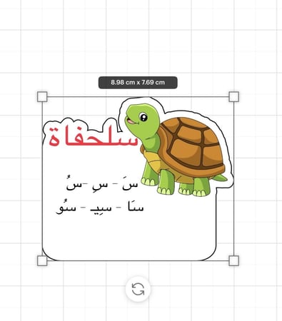 ثيم سلحفاة