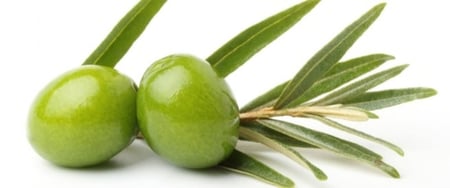 ورق الزيتون درجه أولى عضوي