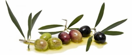 ورق الزيتون درجه أولى عضوي