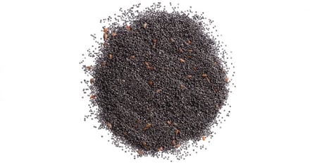 بذور الرجلة