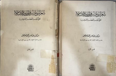شعراء بني قشير في الجاهلية والاسلام اصل جزوين