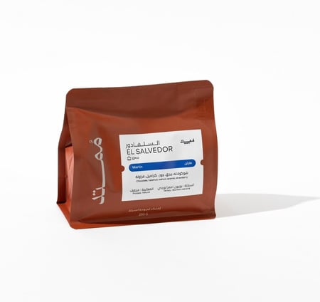 ممتد السلفادور مارتن 250ج