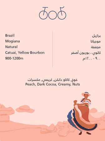 ترايسكل البرازيل موجيانا 250ج