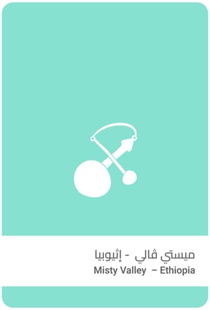 سلالات القهوة اثيوبيا ميستي ڤالي 250ج