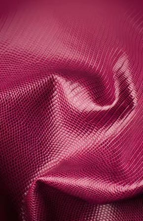 Fuchsia Maroon Cover