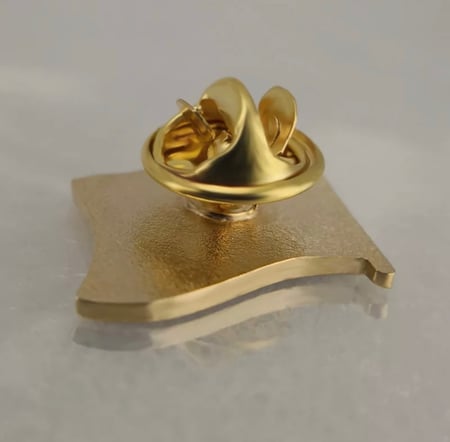 بروش دبوس علم