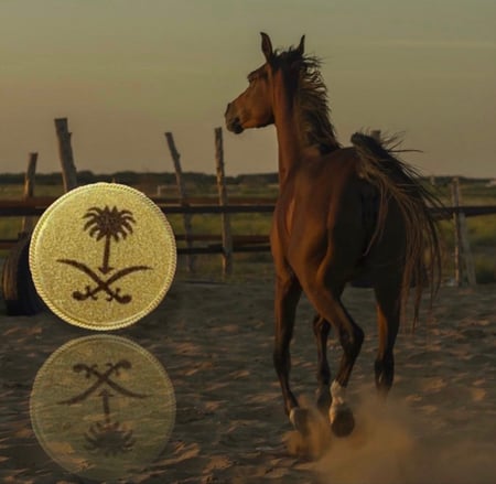 بروش السعودية مغناطيس
